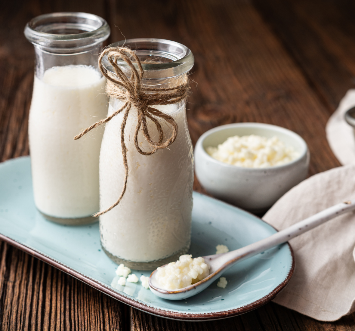 Probióticos: para que servem e como transformar a sua saúde intestinal e imunidade
