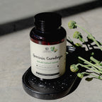 Garcinia Cambogia suplemento - para controlo de apetite e bem-estar digestivo