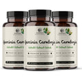 Garcinia Cambogia suplemento - para controlo de apetite e bem-estar digestivo