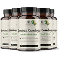 Garcinia Cambogia suplemento - para controlo de apetite e bem-estar digestivo