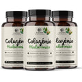 Colagénio Hialurónico suplemento
